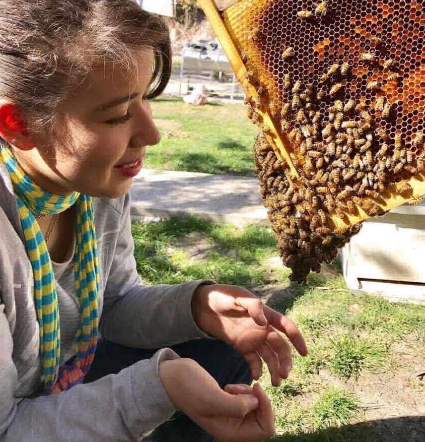 Experiencía con Abejas